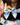 Bowties - Collarfull.dk