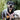 Adventure Trails Dog Harness - Gray Herringbone Tweed