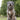 Urban Y Trails dog harness - Sunflowers on my mind